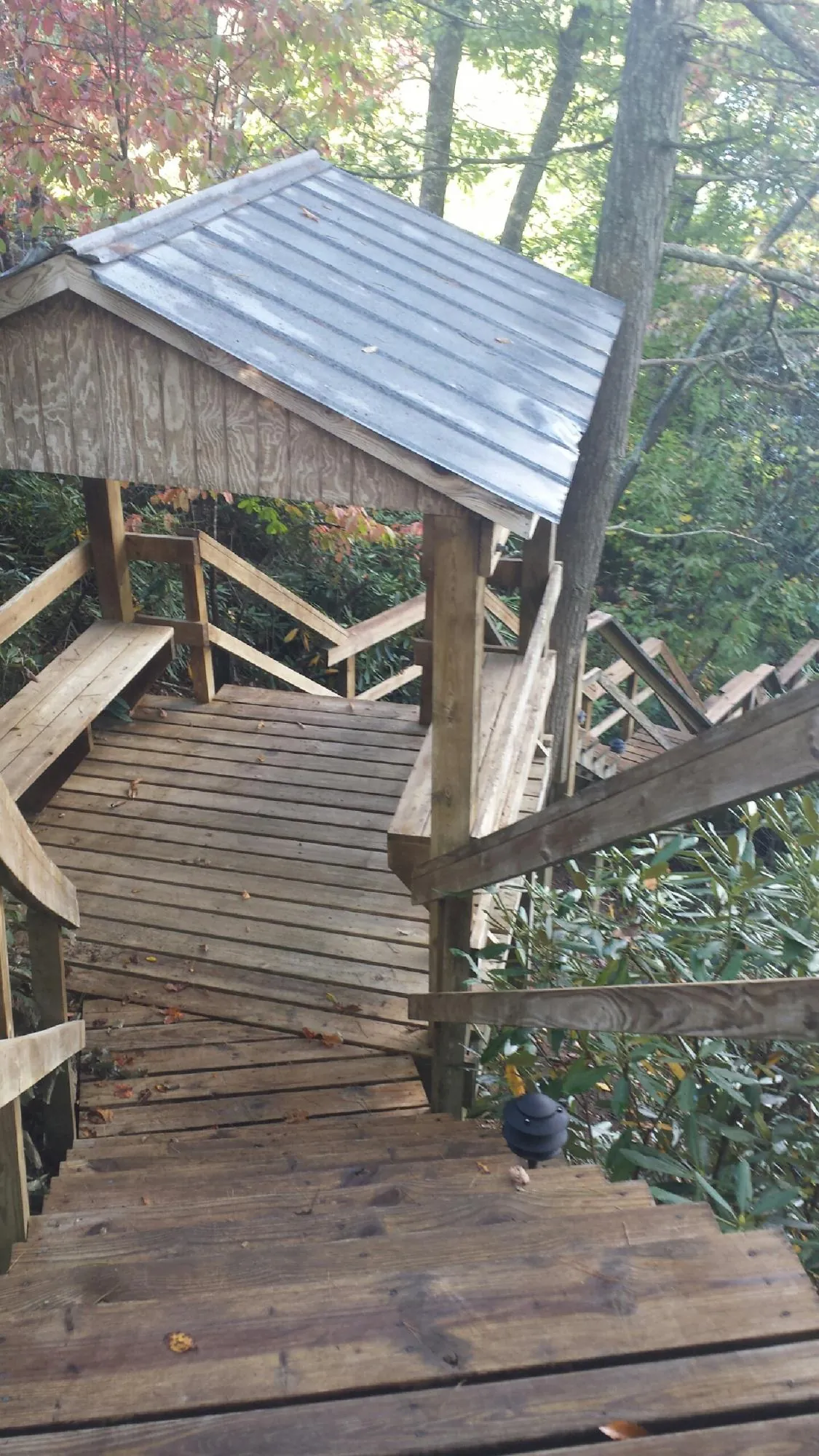 Metal roofed shelter over wooden steps on a wooded walkway in Cordova